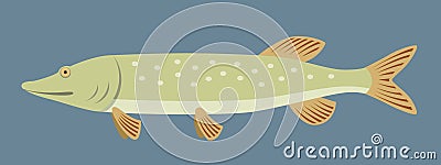 Pike Fish Vector Illustration