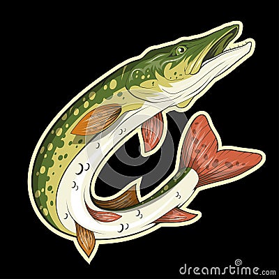 Pike Image. Northern pike. Vector Illustration