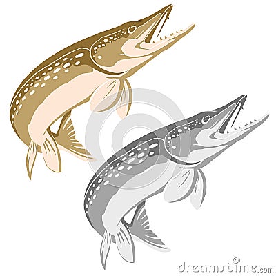 Pike Muskie Fish Vector Logo Design Stock Photo