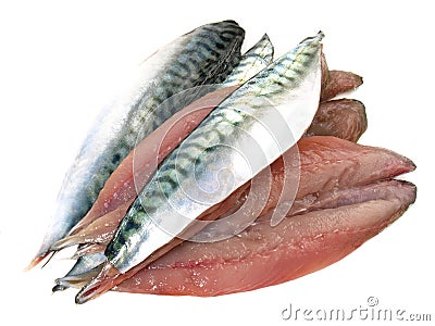 Pilchard Fillet - Fish on White Stock Photo