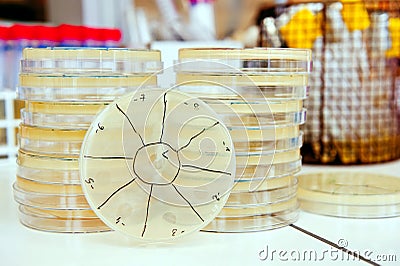 Pile of agar plates Stock Photo