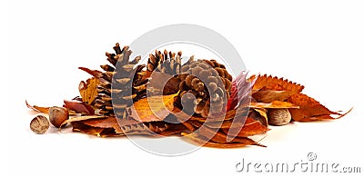 Pile of autumn leaves, pine cones and nuts over white Stock Photo