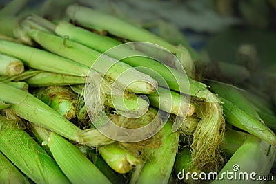 Pile of baby corn in the market Stock Photo