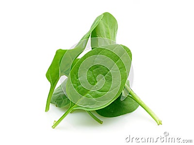 Pile of baby spinach Stock Photo