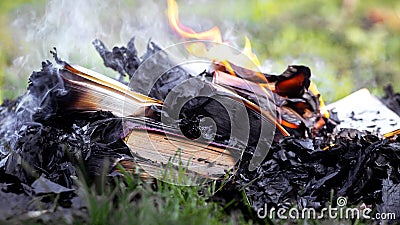 Pile of books with burnt pages on the hearth, destruction of books Stock Photo