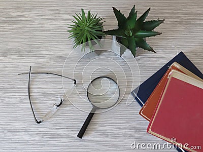 Pile of books, a pair of glasses, magnifying glass, magnifier and flowers on desk. Relaxation. Reading habits. Vision problems. Stock Photo