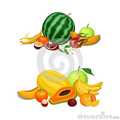 Pile of Bright and Juicy Tropical Fruit with Melon and Watermelon Vector Set Vector Illustration