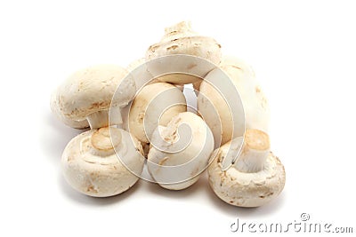 Pile of Button Mushrooms Stock Photo