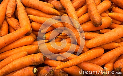 Pile of carrots Stock Photo