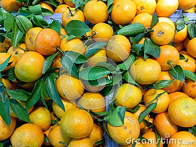 pile of Chinese oranges were still fresh with some leaves still attached to the fruit Stock Photo