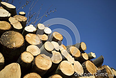 Pile of chopped wood Stock Photo