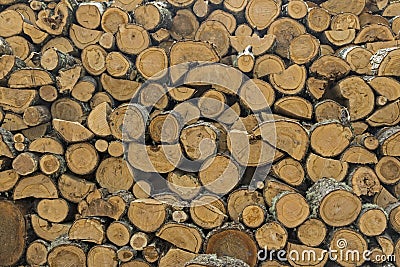 Pile Of Chopped Wood Stock Photo