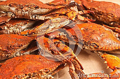 Pile of colossal, steamed and seasoned chesapeake blue claw crabs Stock Photo