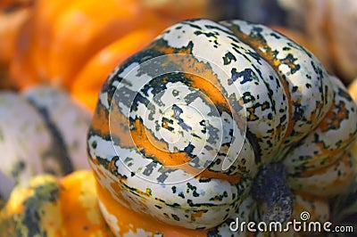 A pile of colourful pumpkins Stock Photo
