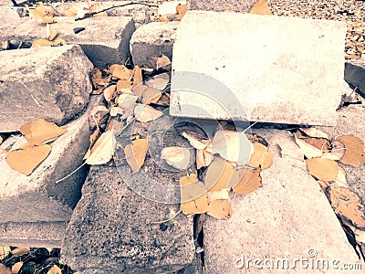 Pile of concrete quadrs with yellow autumn leaves. Material stok Stock Photo
