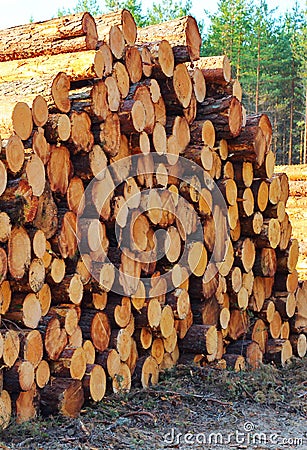 pile of cut down trees Stock Photo