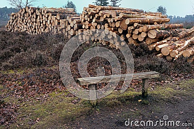 Pile of cut logs on heathland with bench in foreground Stock Photo