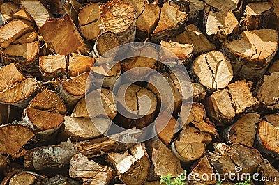 Pile of cut rustic wood in a sunny day Stock Photo