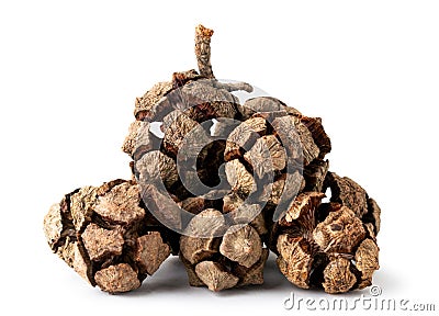 Pile of cypress cones on a white, isolated. Stock Photo