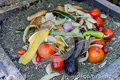 Pile of decomposed vegetables in a composter. Stock Photo
