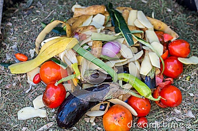 Pile of decomposed vegetables in a composter. Stock Photo