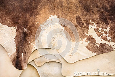 Pile of different cow hides Stock Photo