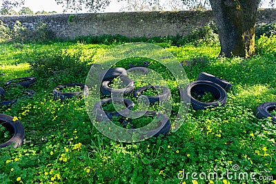 Pile of discarded tires in the field, polluting the environment. Stock Photo