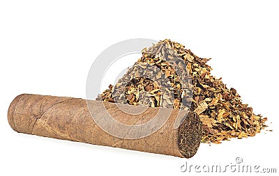 Pile of dried tobacco leaves and brown cigar isolated on white background Stock Photo