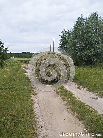 A pile of dry grass. Transportation from the field. Stock Photo