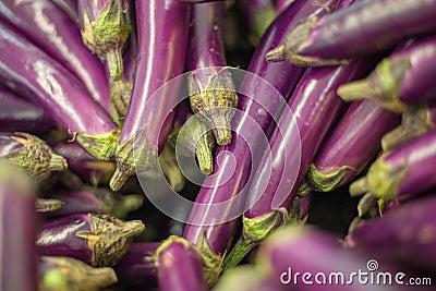 Pile of eggplants at rural market in Mahebourg, Stock Photo