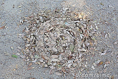 Pile fallen autumn leaves in the park Stock Photo