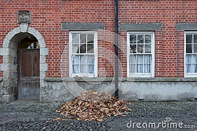 Pile of fallen leafs Stock Photo