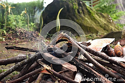 pile of firewood to burn corn Stock Photo