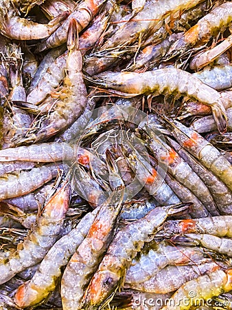 Pile of fresh catch shrimp, close view Stock Photo