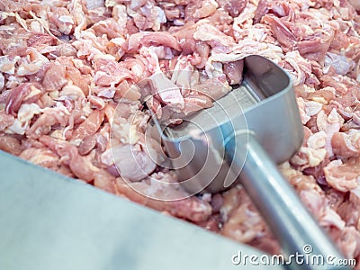 Fresh chicken meat Stock Photo