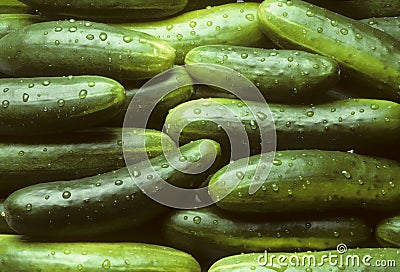 A pile of fresh cucumbers Stock Photo