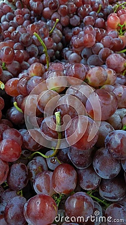 Pile of fresh grapes being laid out on a shelf for sale in a fruit shop. Stock Photo