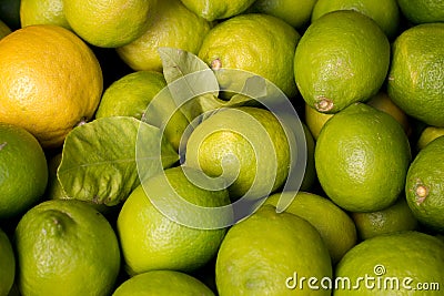 Pile of fresh green yellow limes at market for sale Stock Photo