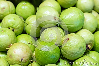 Pile of fresh guavas background Stock Photo