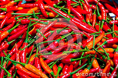 Pile of fresh red chilli peppers texture. Raw food background. Close up. Stock Photo
