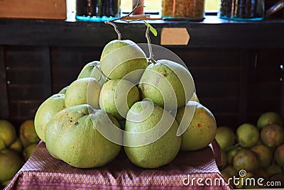 Pile of fresh tropical Asian ripe green yellow pomelos fruit from garden on table. Pomelo, pumelo, pummelo or shaddock is large, Stock Photo