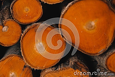 Pile of freshly cut firewood, the ends of logs as a background texture. Copy, empty space for text Stock Photo