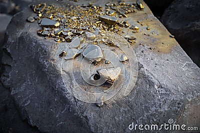 A pile of Gold nugget grains, on big river stone. Golden texture Stock Photo