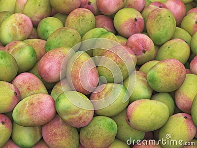 Pile of Healthy Mango Cartoon Illustration