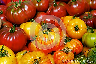 Pile of Heritage Tomatoes Stock Photo