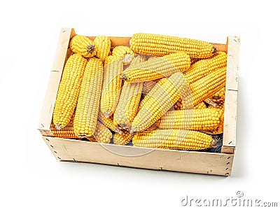 Pile of husked sweet corn cobs in wooden crate Stock Photo