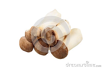 pile of king oyster mushrooms isolated on white Stock Photo