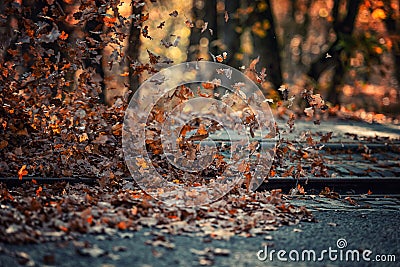 Pile of leaves high wind Stock Photo