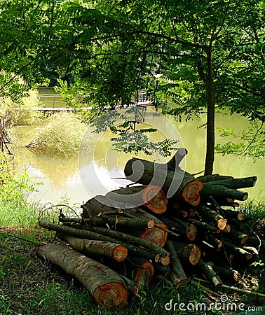 Pile of logs by a pond Stock Photo