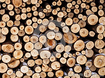 Pile of logs Stock Photo